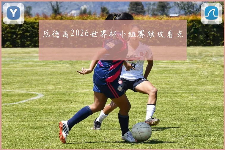 厄德高2026世界杯小组赛助攻看点