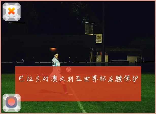 巴拉圭对澳大利亚世界杯后腰保护