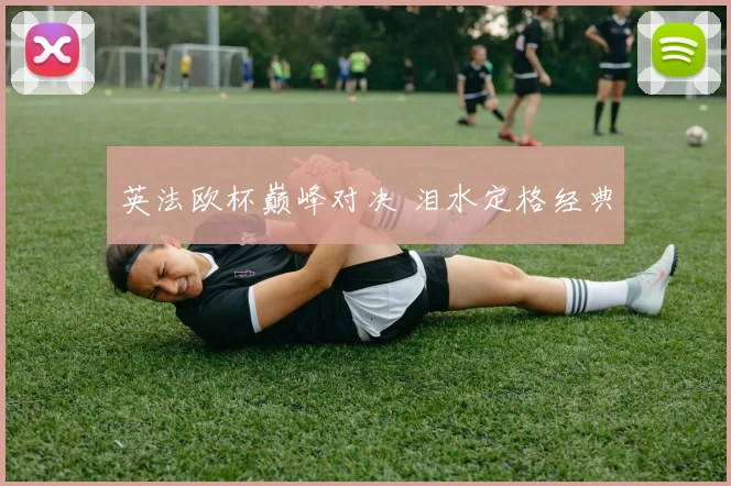 英法欧杯巅峰对决 泪水定格经典