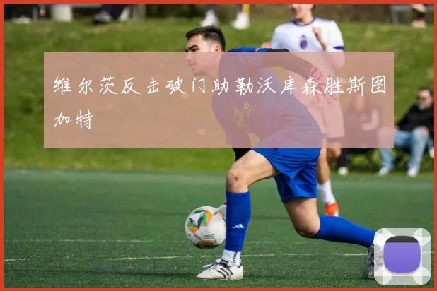 维尔茨反击破门助勒沃库森胜斯图加特