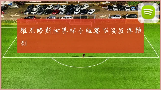 维尼修斯世界杯小组赛临场发挥预测