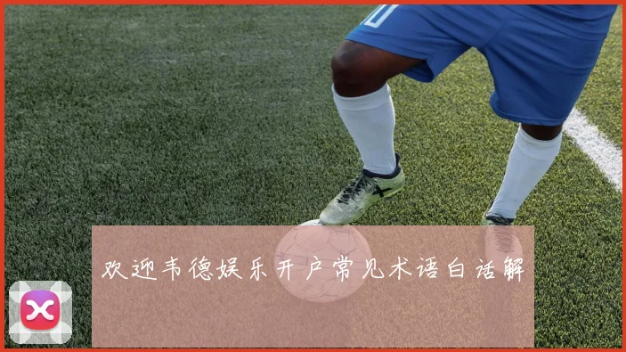欢迎韦德娱乐开户常见术语白话解