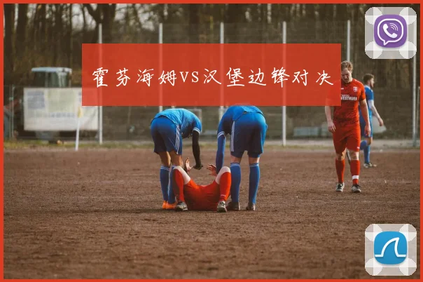 霍芬海姆vs汉堡边锋对决