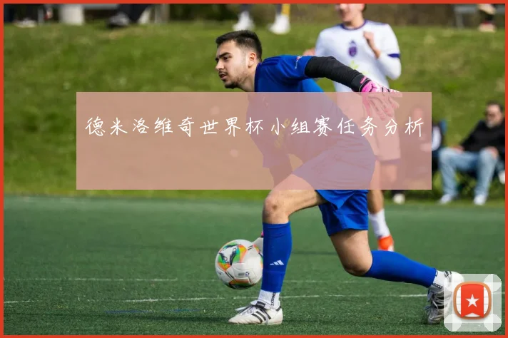 德米洛维奇世界杯小组赛任务分析
