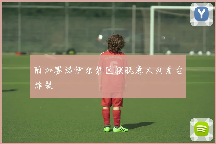 附加赛诺伊尔禁区摆脱意大利看台炸裂